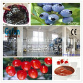 Turn key solution for commercial Passion fruit jam production line manufactured in shanghai gofun
